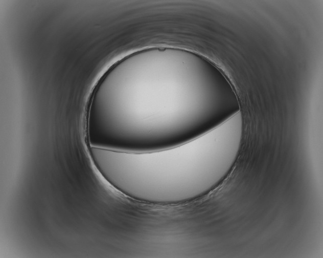 X0000088491531200705221011