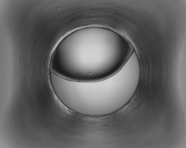 X0000088491532200705221011
