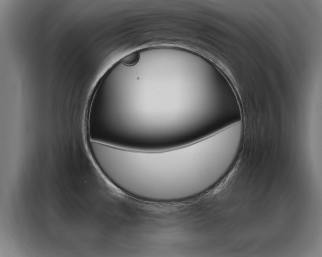 X0000088491533200705221011