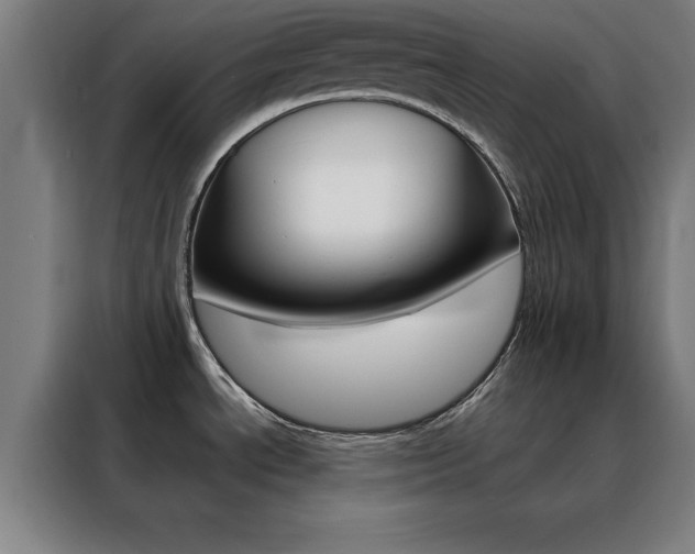 X0000088491534200705221011