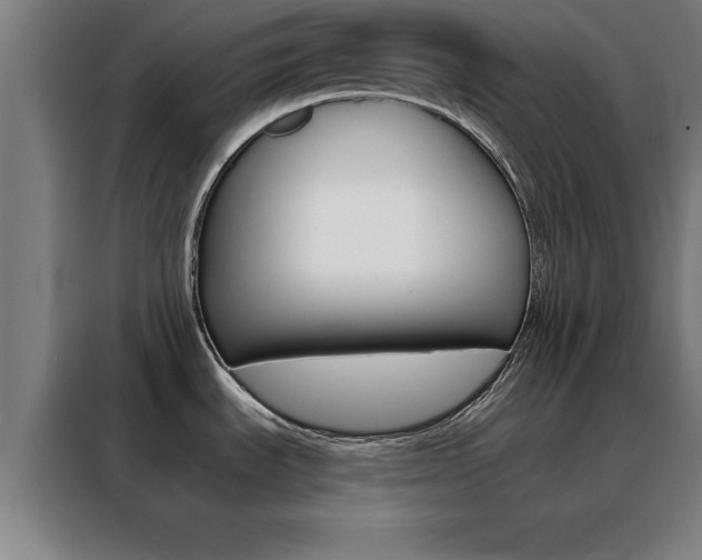 X0000088491535200705221011