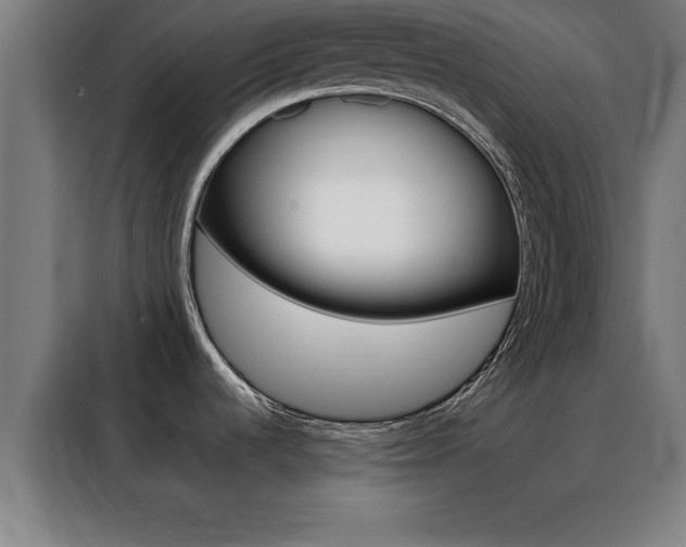 X0000088491536200705221011