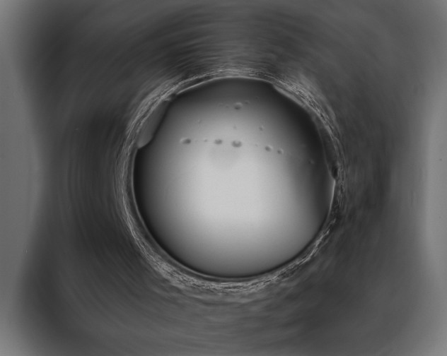 X0000088490001200705221437