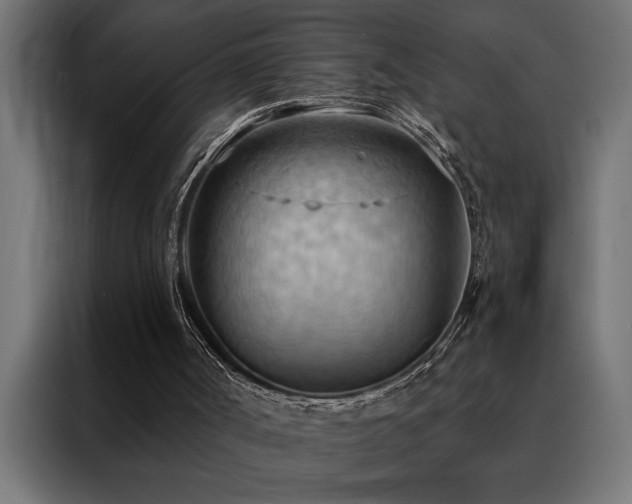 X0000088490002200705221437