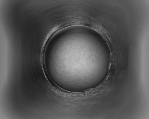 X0000088490003200705221437