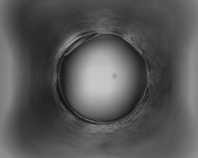 X0000088490005200705221437