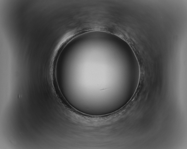 X0000088490006200705221437