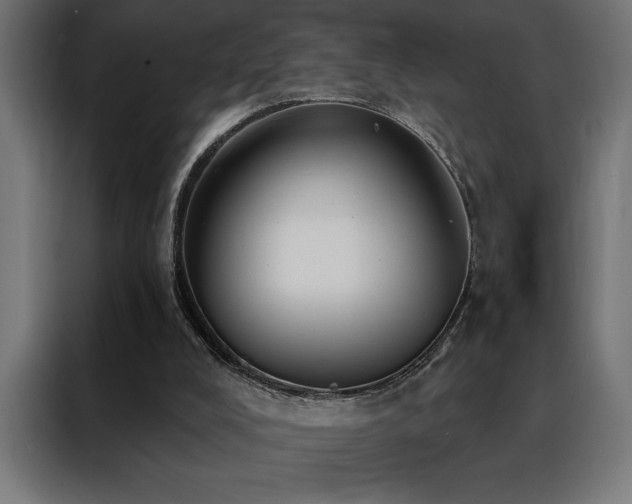 X0000088490008200705221437