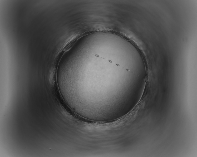 X0000088490009200705221437