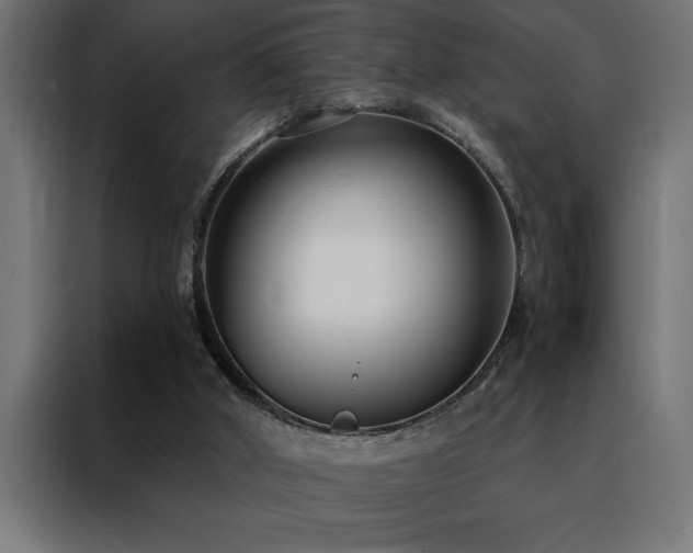X0000088490010200705221437