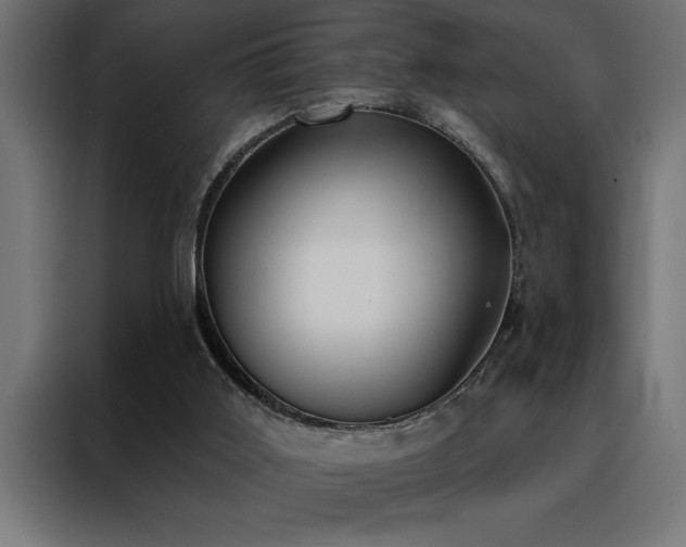 X0000088490011200705221436