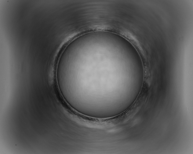X0000088490012200705221436