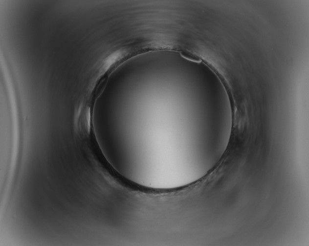 X0000088490013200705221436