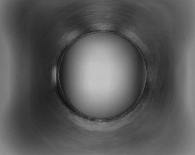 X0000088490014200705221436