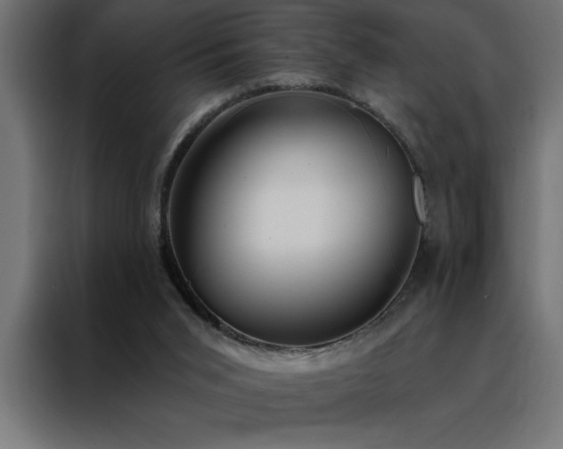 X0000088490015200705221436
