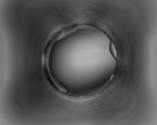 X0000088490019200705221436