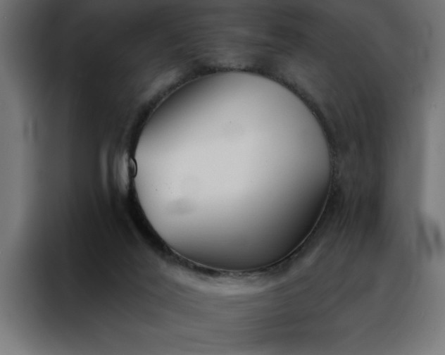 X0000088490020200705221436