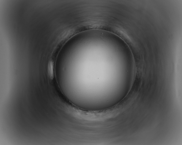 X0000088490022200705221436