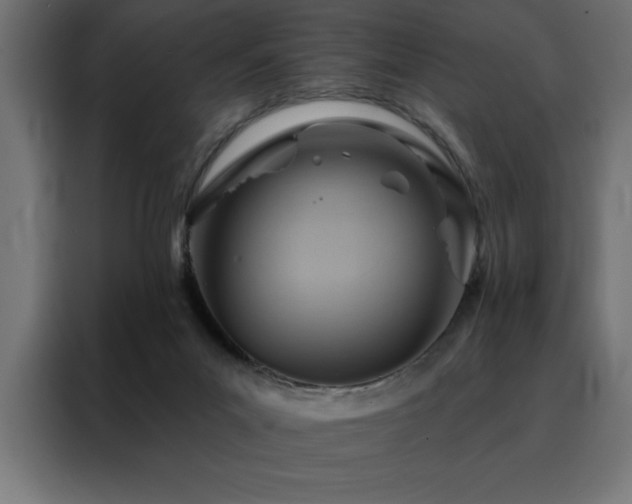 X0000088490023200705221436