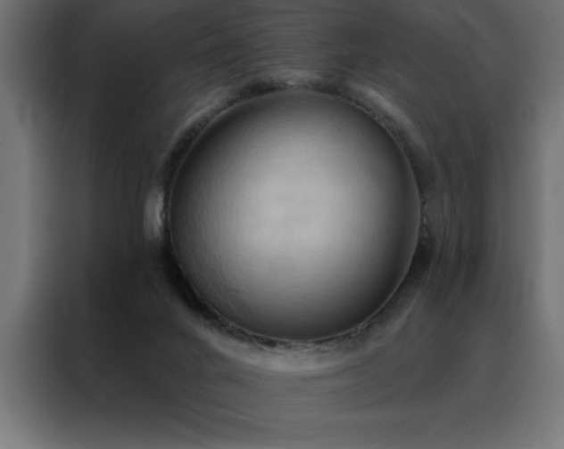 X0000088490024200705221436
