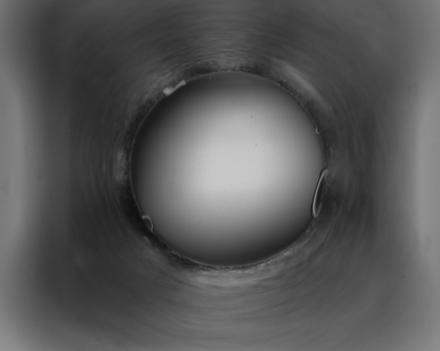 X0000088490025200705221436
