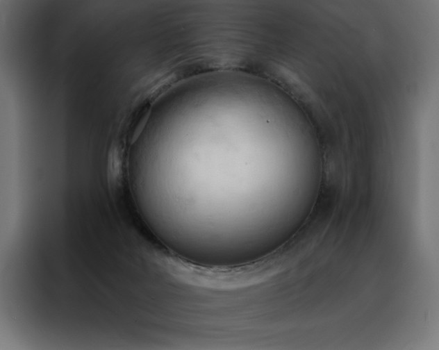 X0000088490026200705221436