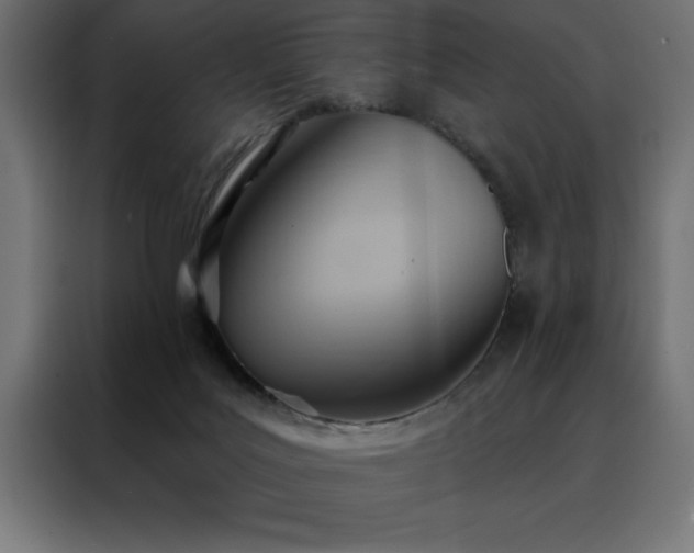 X0000088490027200705221436