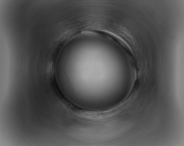 X0000088490029200705221436