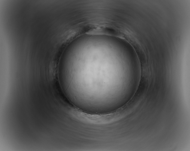 X0000088490030200705221436