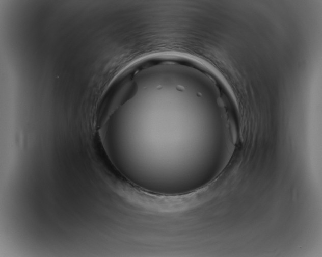 X0000088490031200705221436