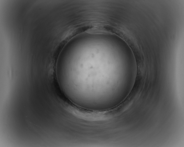 X0000088490032200705221436