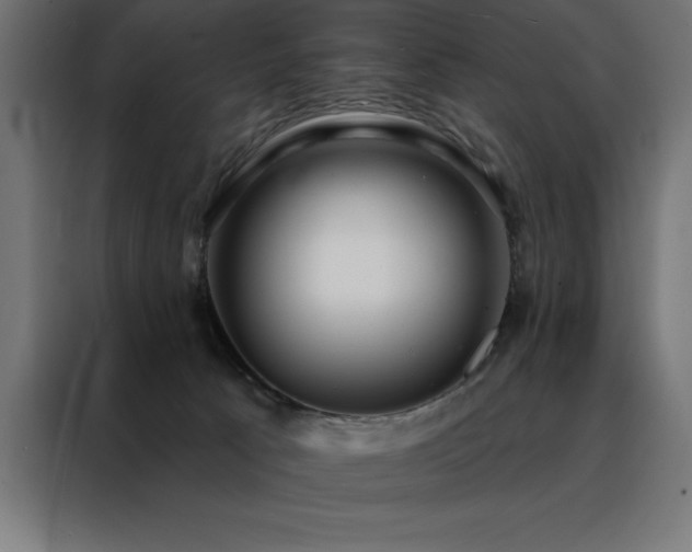 X0000088490033200705221436