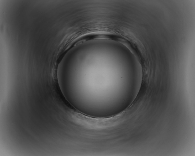 X0000088490035200705221436
