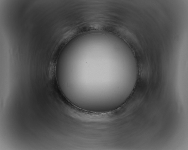 X0000088490036200705221436