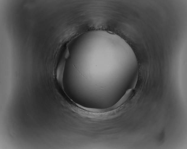 X0000088490039200705221436