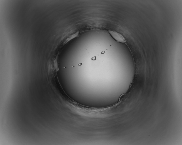 X0000088490040200705221436