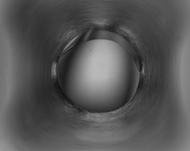 X0000088490041200705221436
