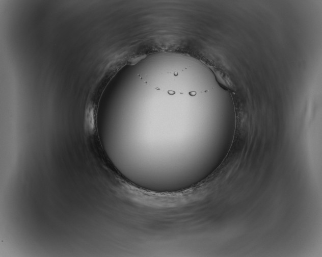 X0000088490042200705221436
