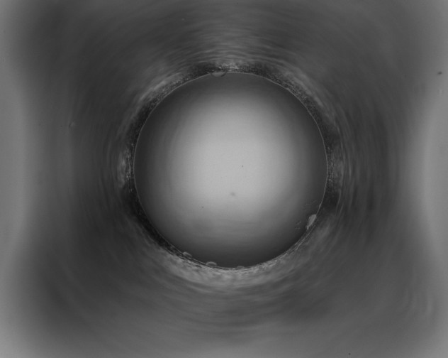 X0000088490043200705221436