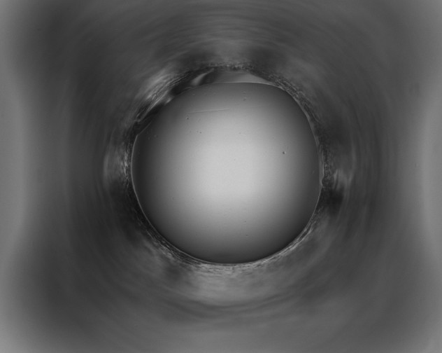 X0000088490045200705221436