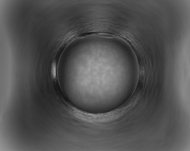 X0000088490046200705221436