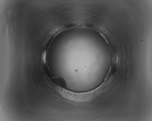 X0000088490047200705221436