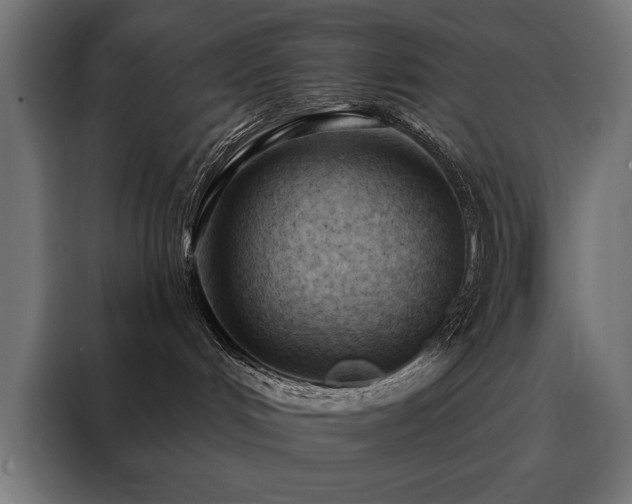 X0000088490048200705221436