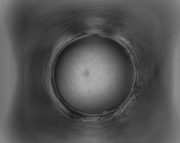 X0000088490049200705221435
