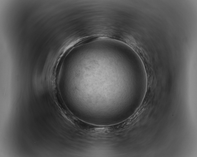 X0000088490050200705221435