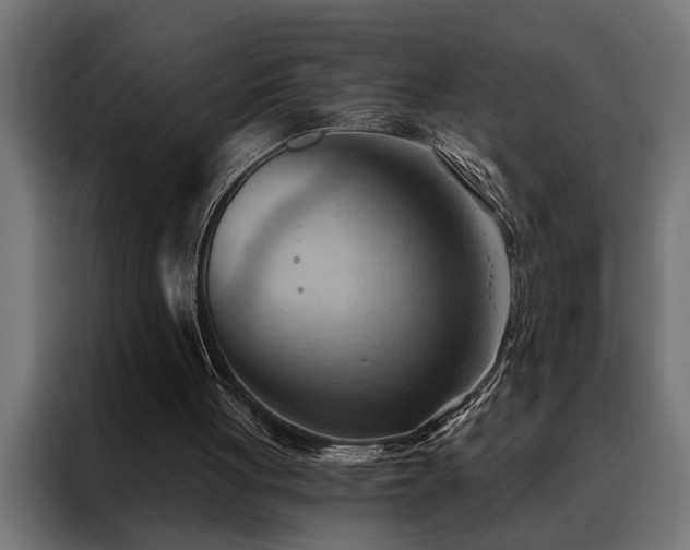 X0000088490051200705221435