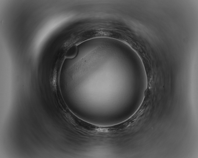 X0000088490052200705221435