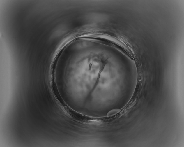 X0000088490053200705221435
