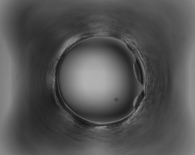 X0000088490054200705221435