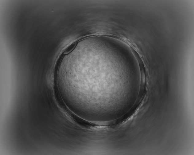 X0000088490055200705221435
